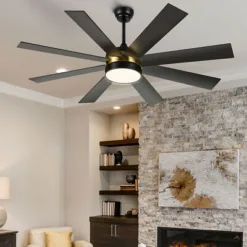 Oliva Beauty Ceiling Fan – Intensive Formula